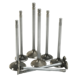 eaton-engine-valves-grouped